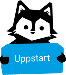 Uppstartsfasen